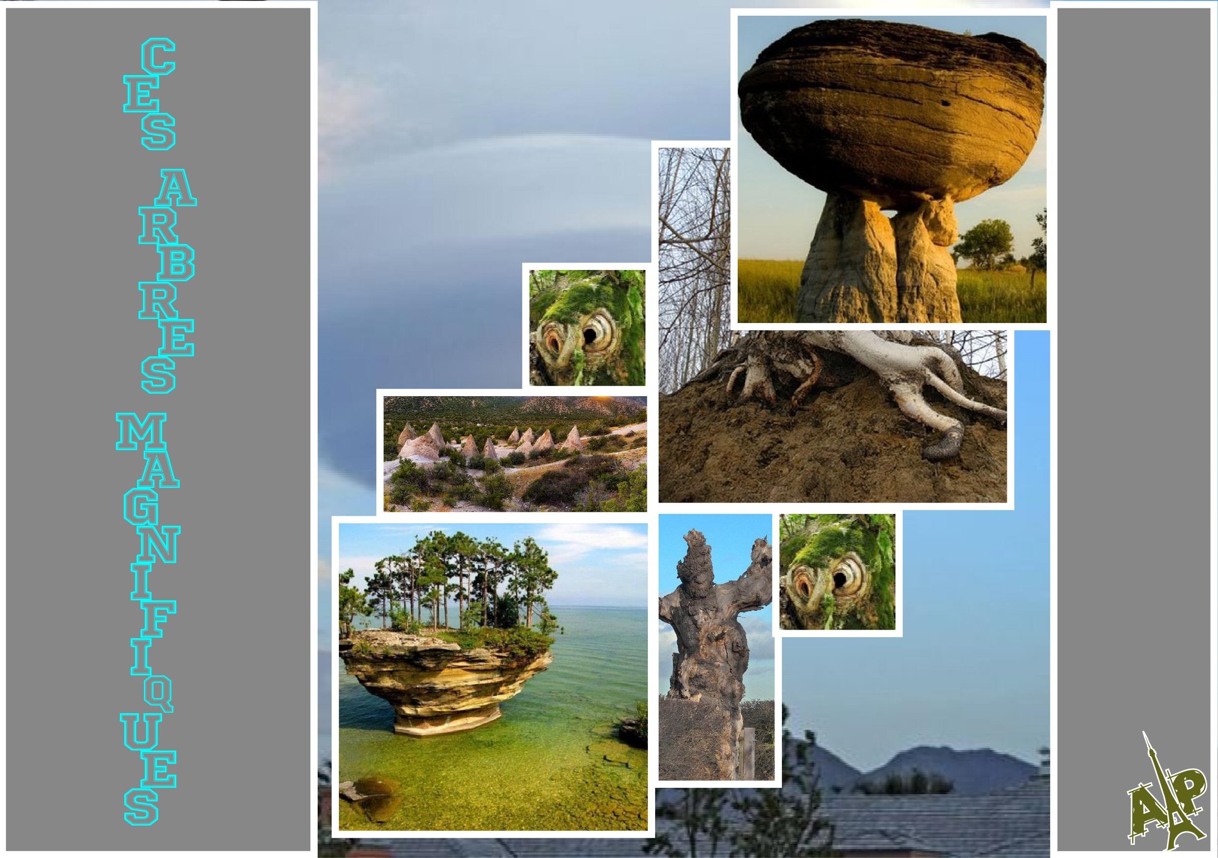 défis snoopy  - ces arbres magnifiques  Annie.jpg