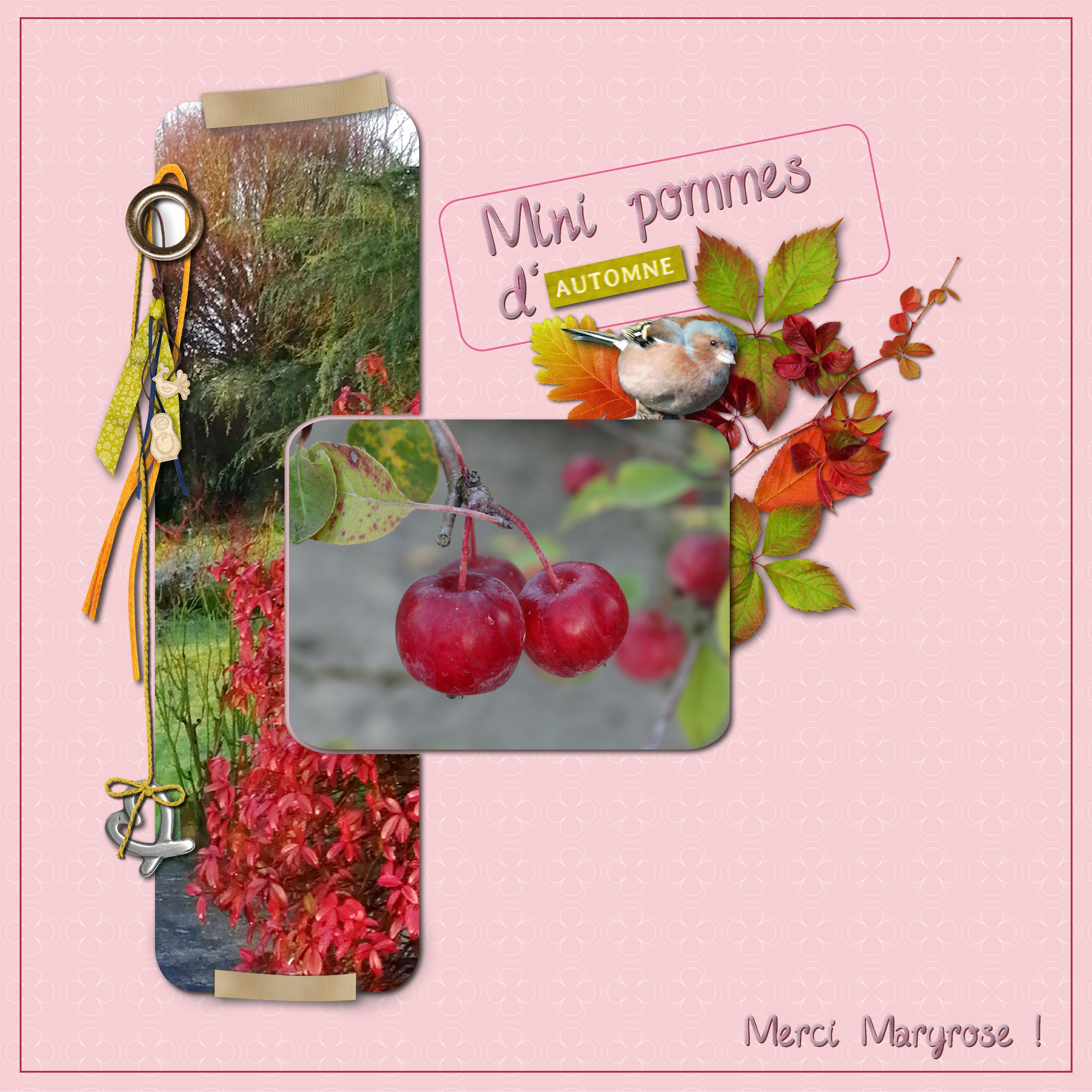 defisketch maryrose nov 2022.jpg