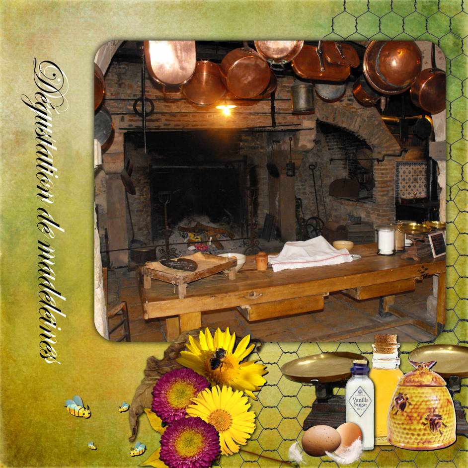 Dégustation de madeleines