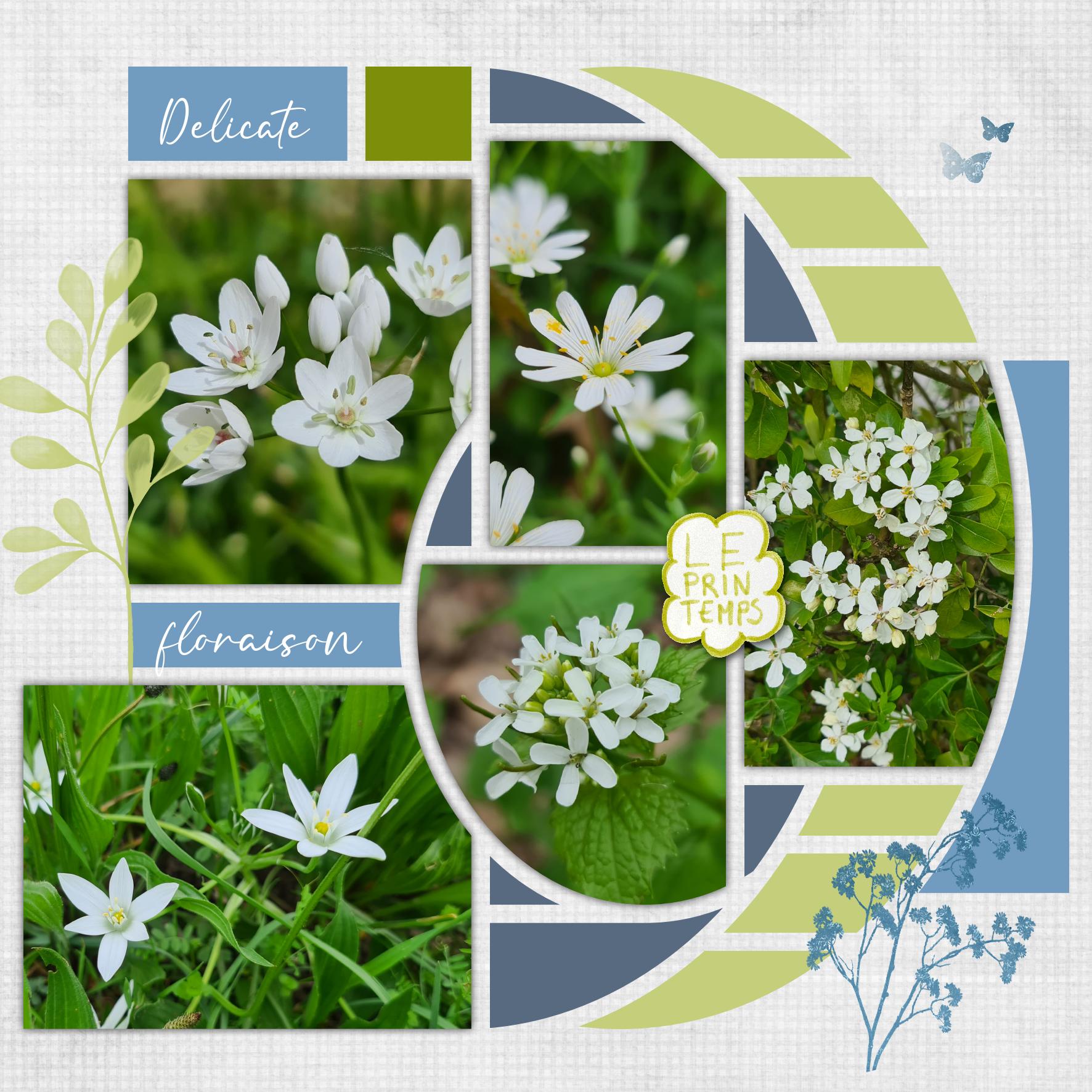 delicate floraison.jpg