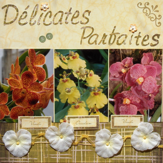 Délicates et parfaites