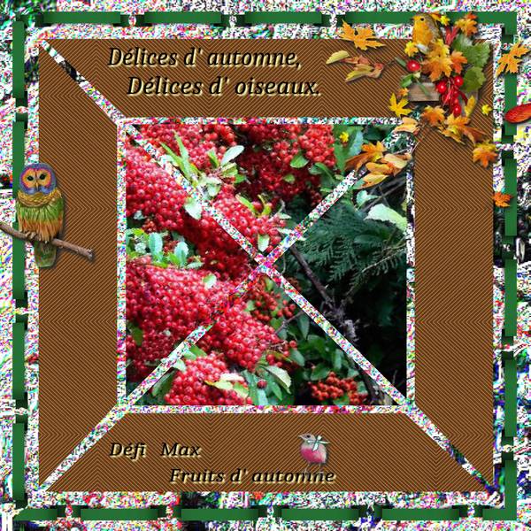 Délices d' automne, délices d' oiseaux