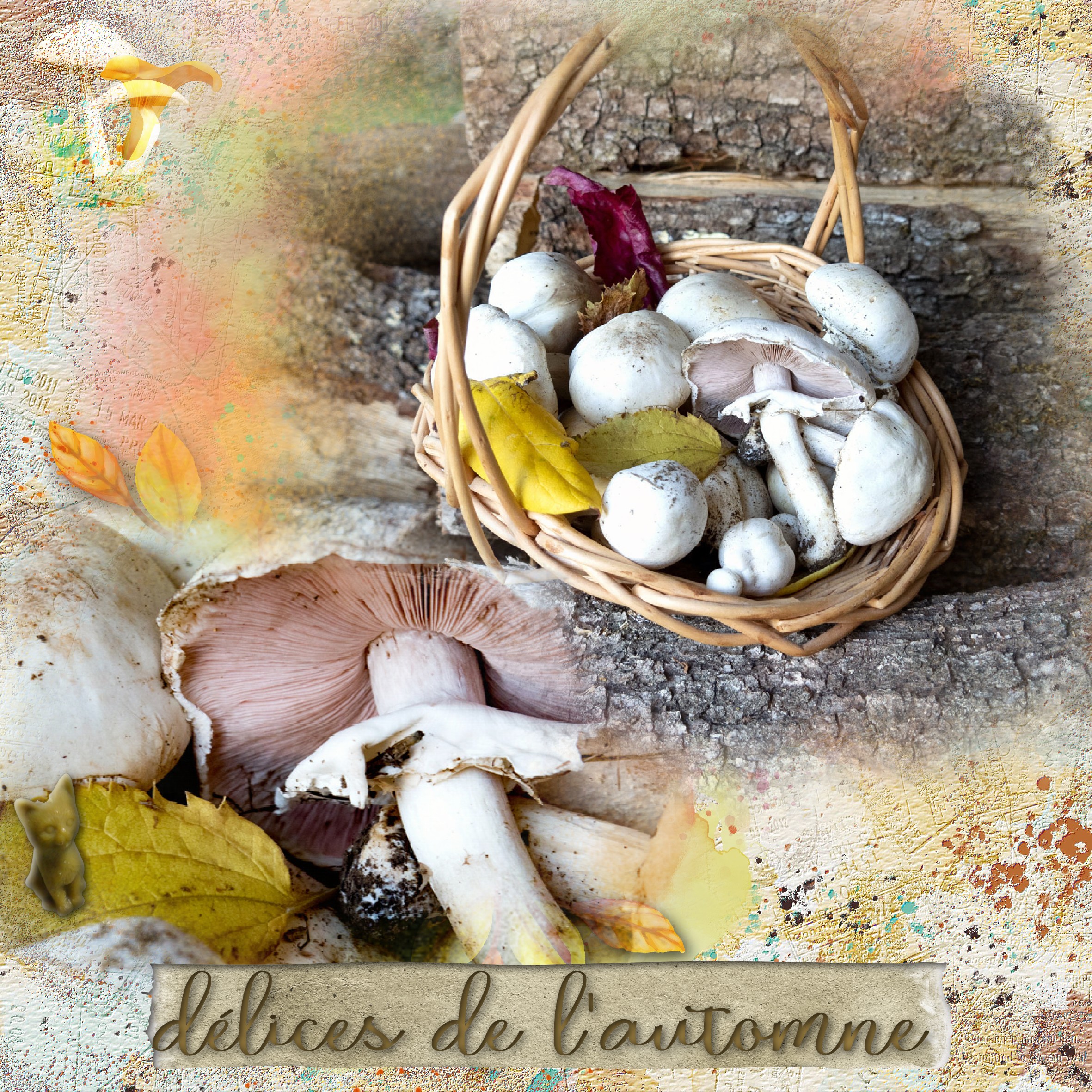 délices d'automne .jpg