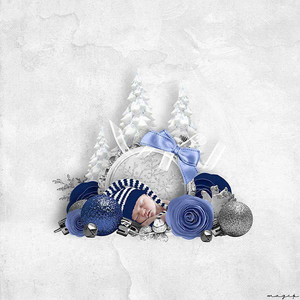 Delight of the winter