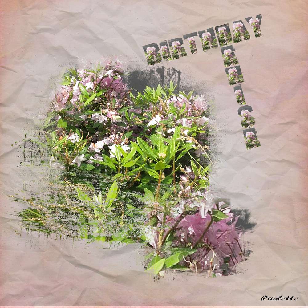 denise c'est ton jour