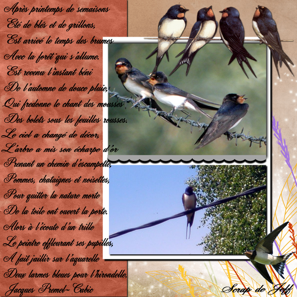 Départ des hirondelles