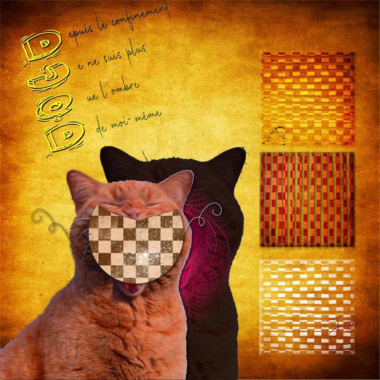 depuis le confinement.jpg