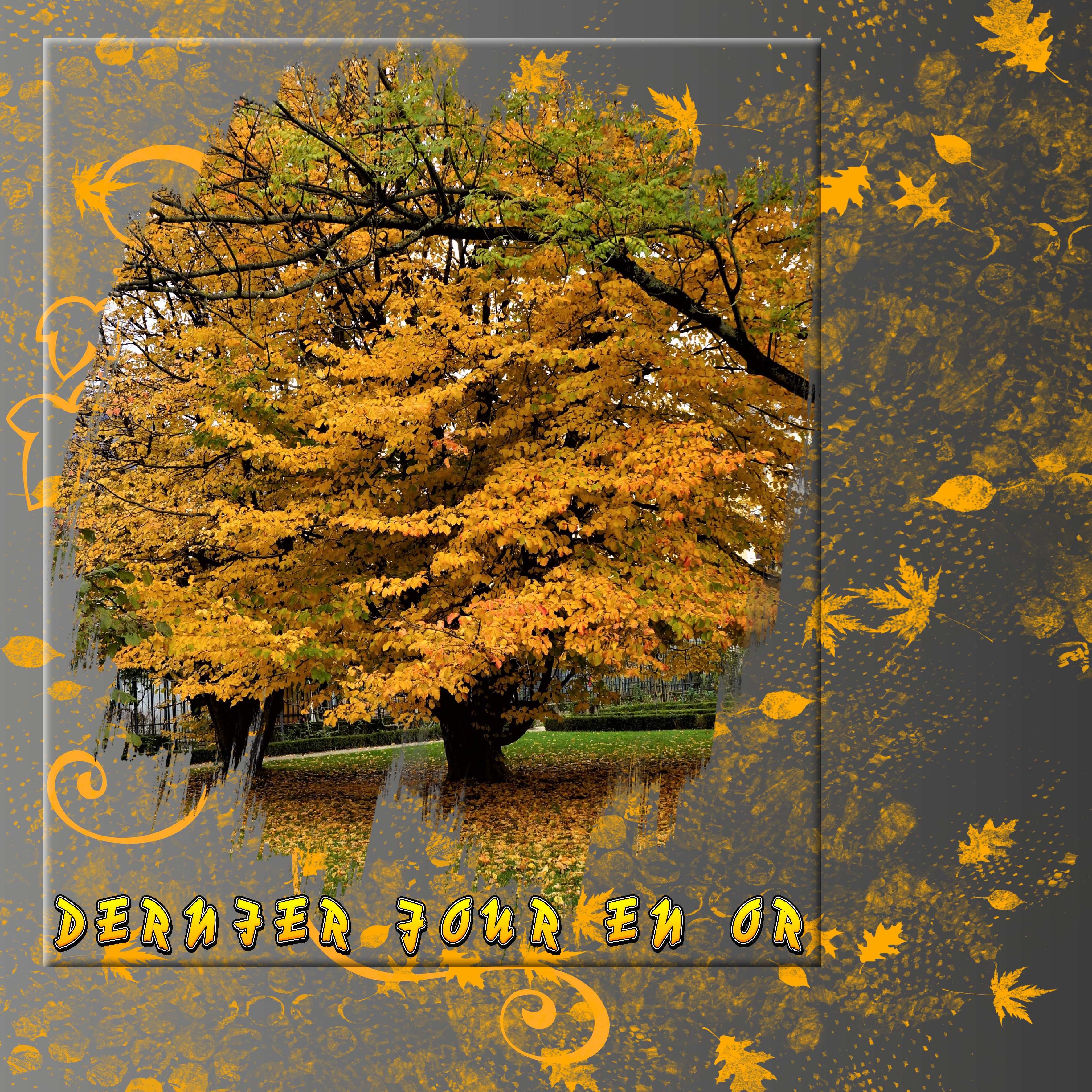 Dernier jour en or.jpg