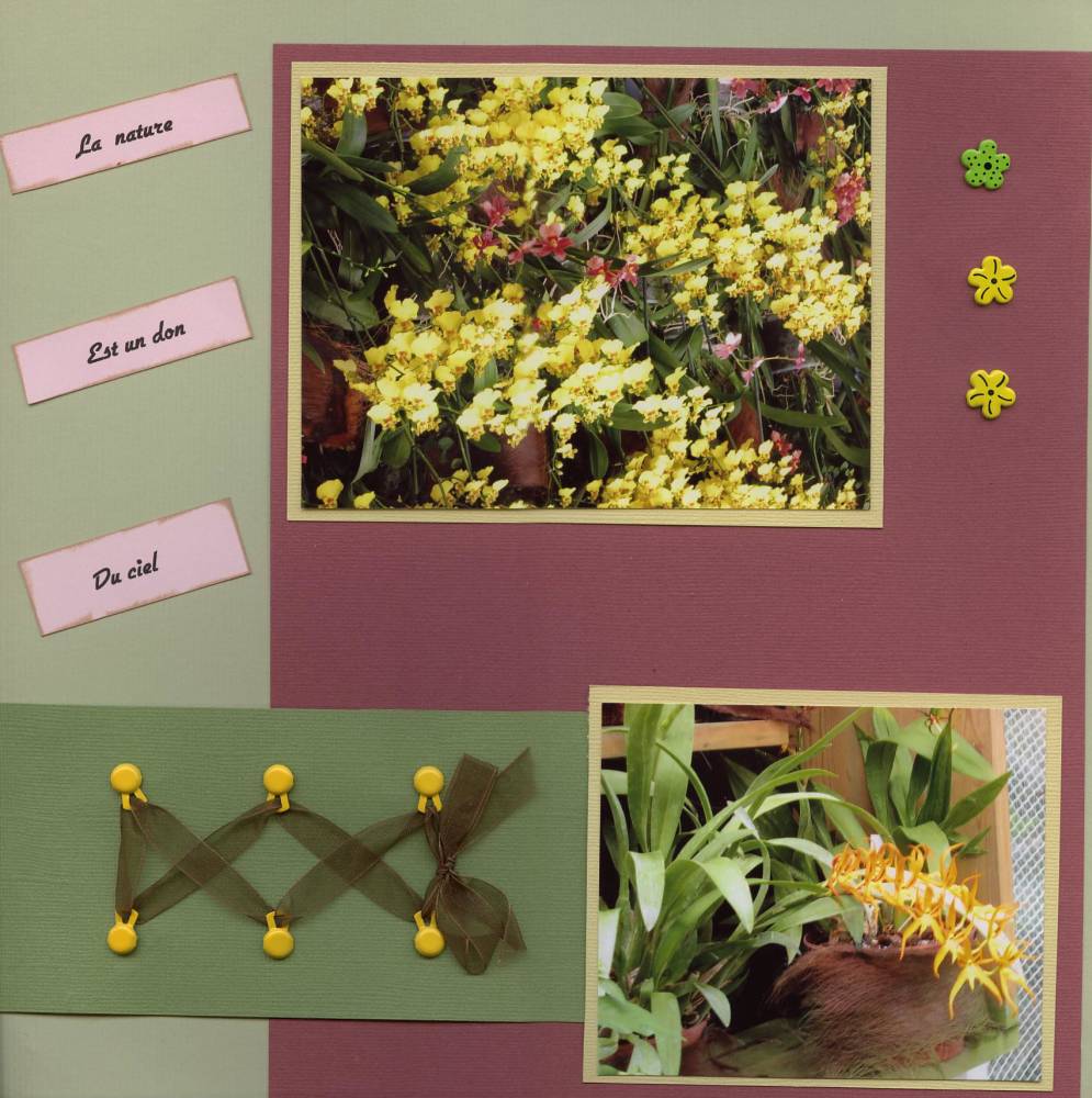 dernières pages sur les fleurs et papillons