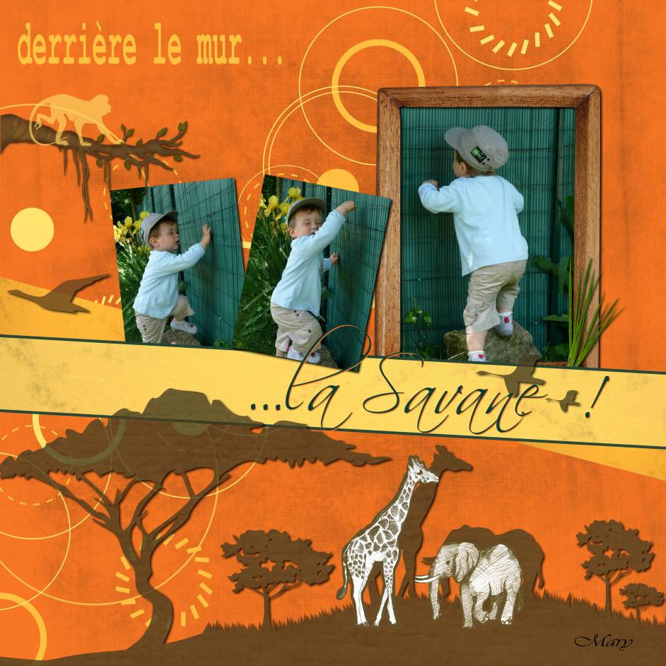 Derrière le mur...la savane