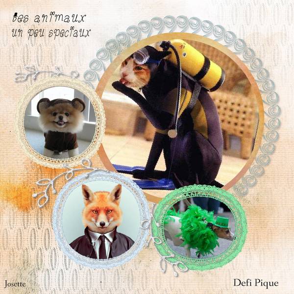 des animaux un peu spéciaux pour le defi.