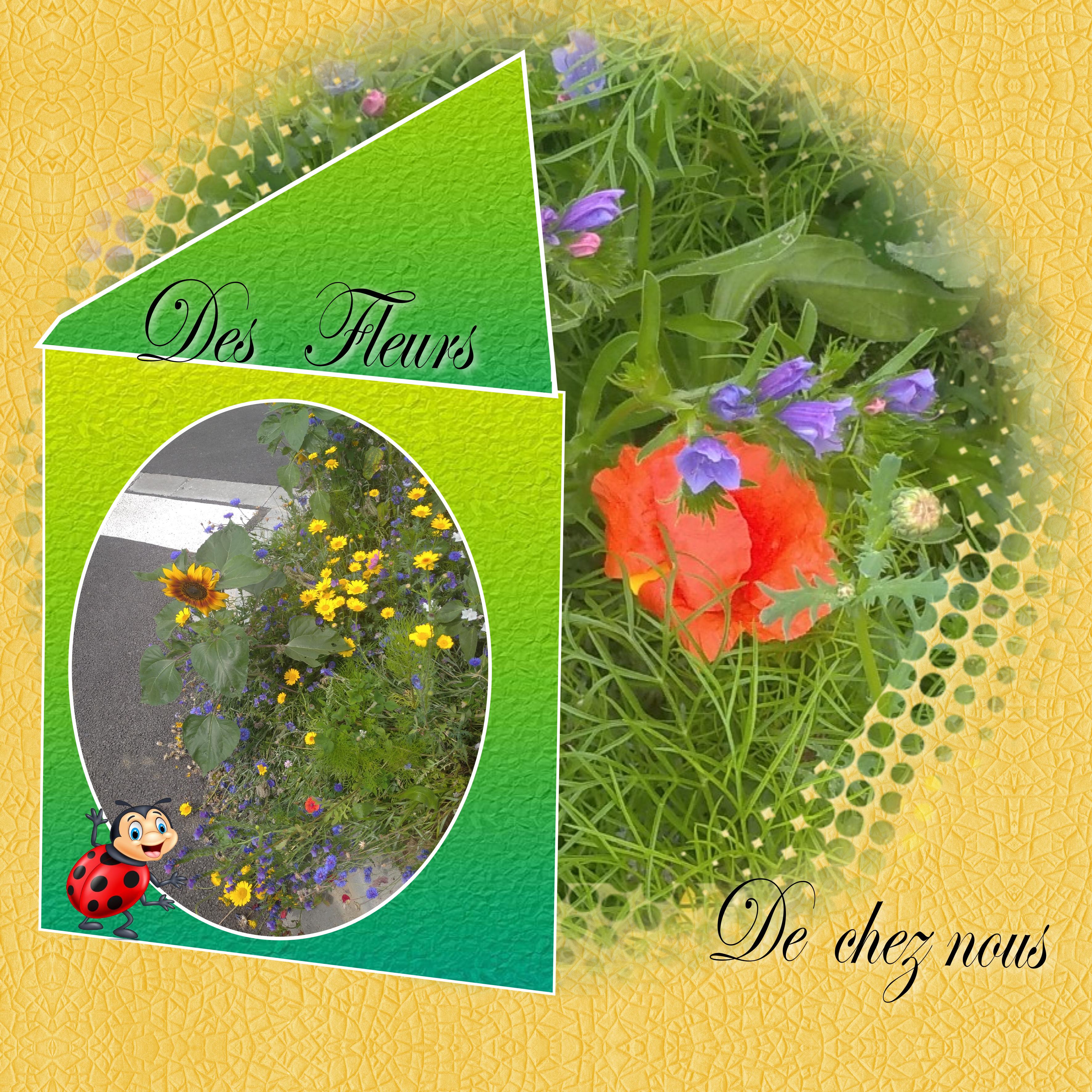 des fleurs de chez nous.jpg