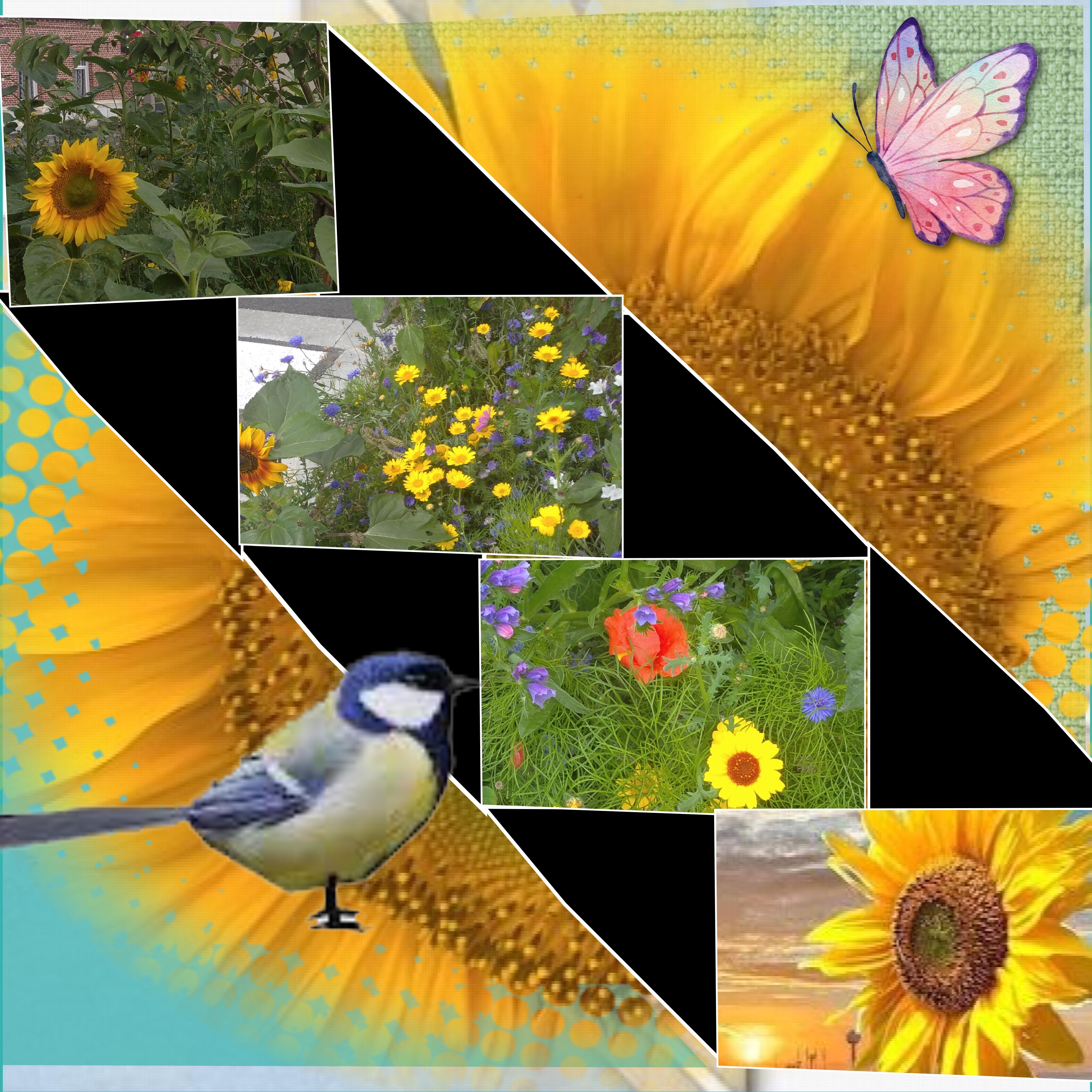 des  fleurs et tournesol.jpg