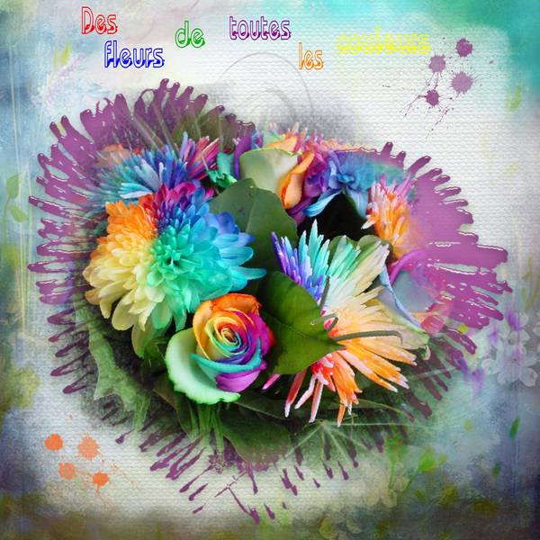 Des_fleurs_de_toutes_les_couleurs