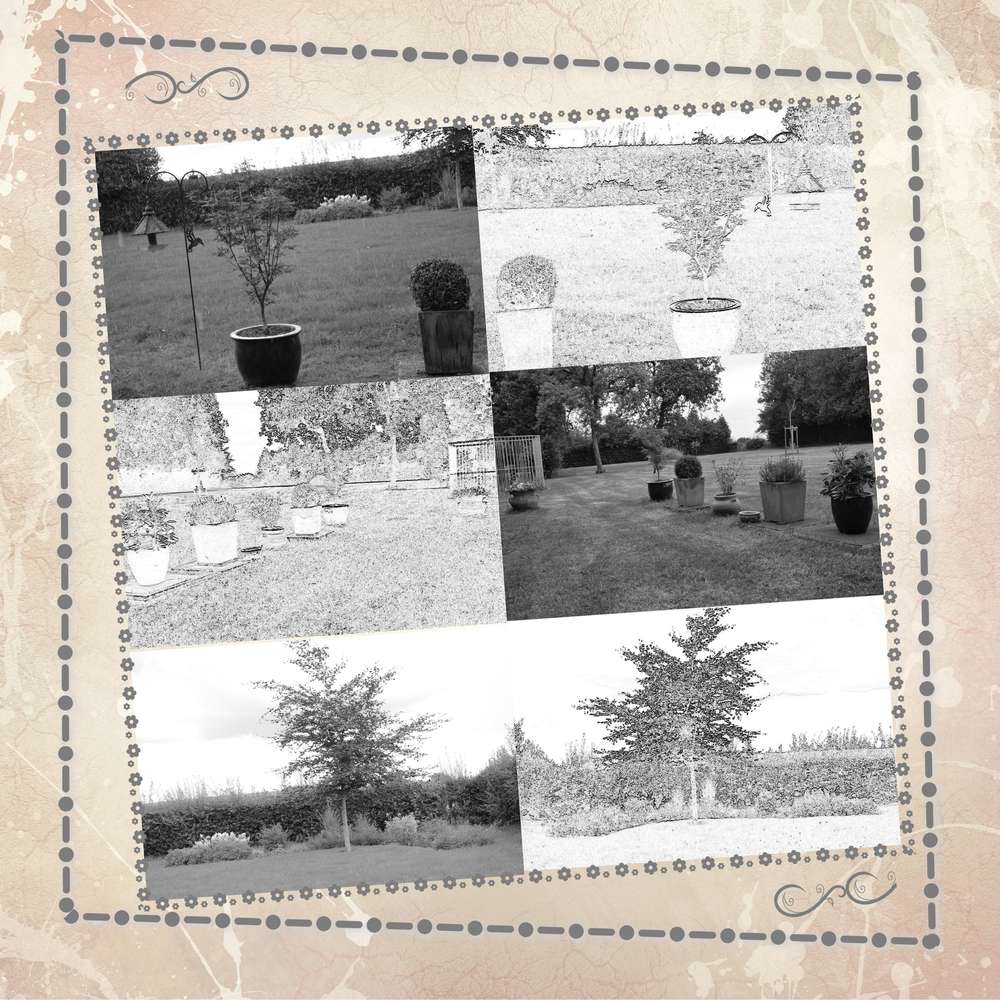 dessin noir et blanc