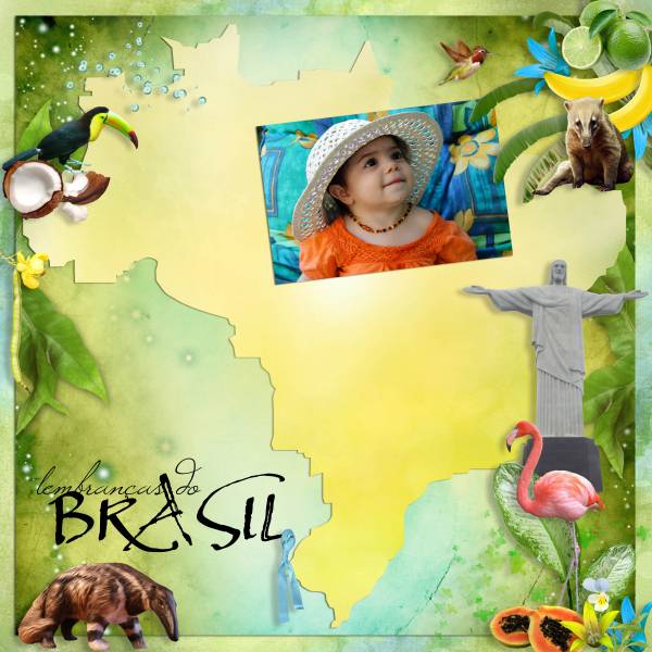 Destina��o Brasil