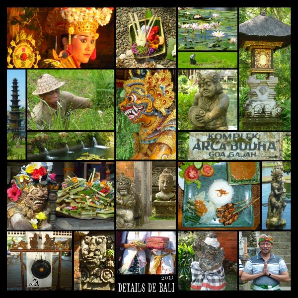 Détails de BALI