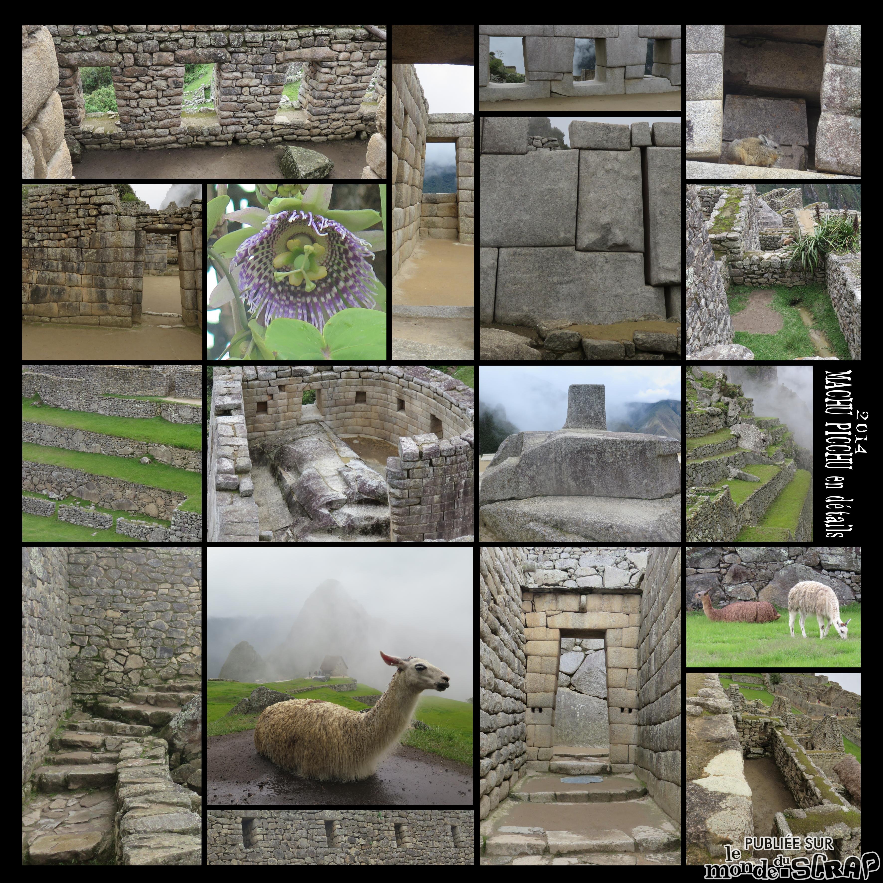 Détails du Machu Picchu.jpg