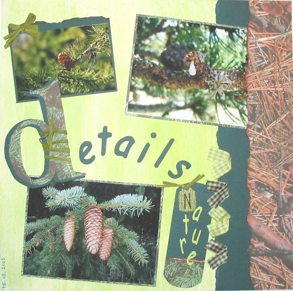 Détails nature