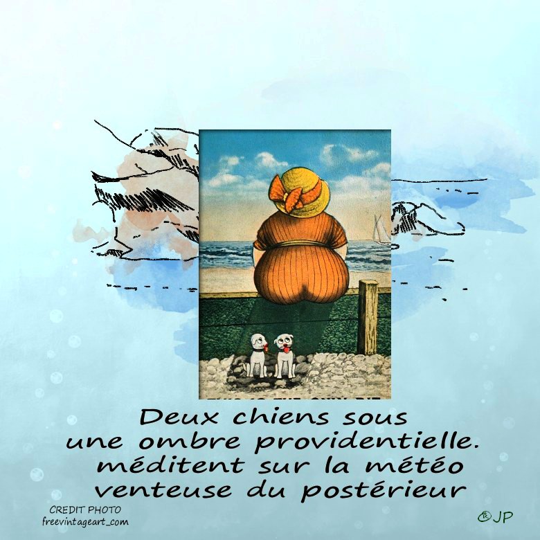 deux chiens méditent .jpg
