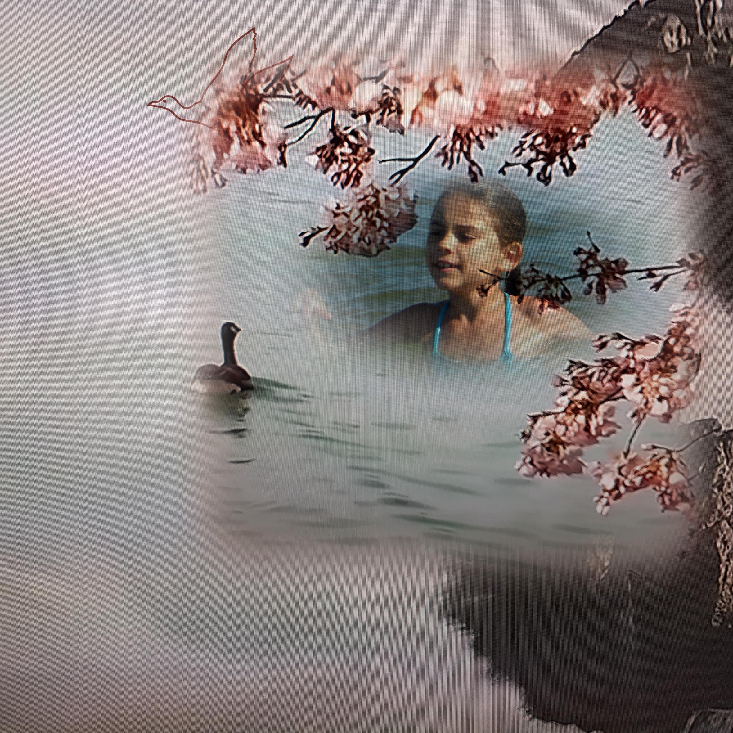 Deux petits canards qui barbotent .jpg