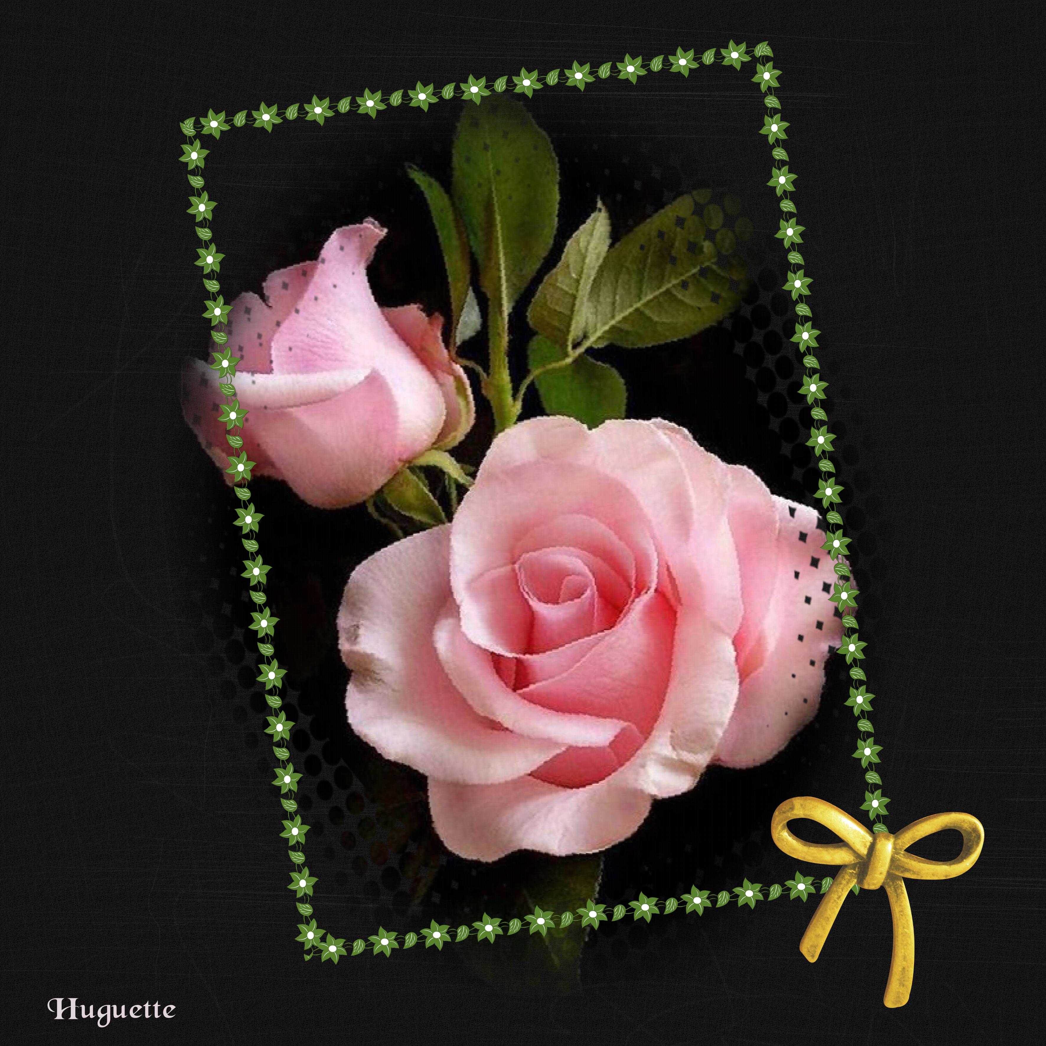 deux roses.  de la part d'Huguette
