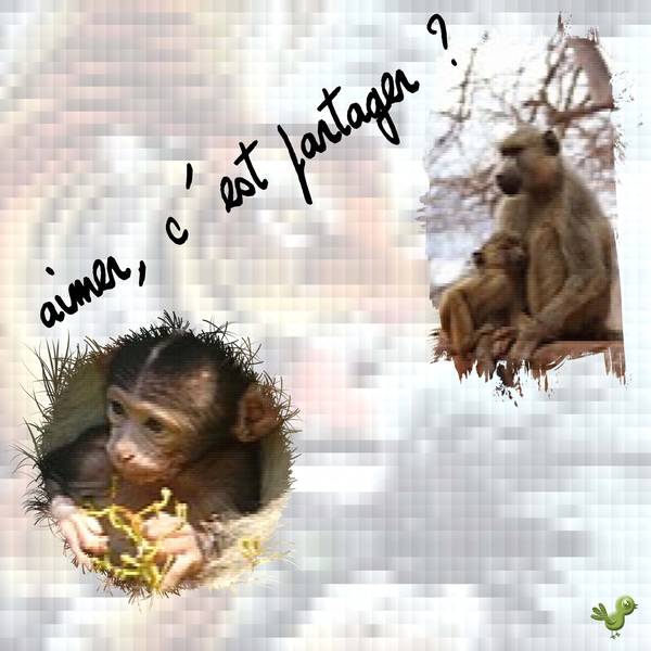 Deuxième défi Laurette