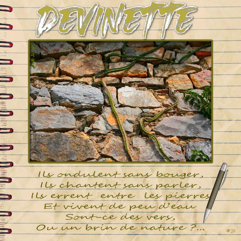devinette.jpg