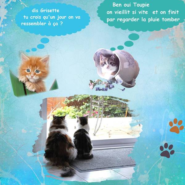 dialogue de  Minettes