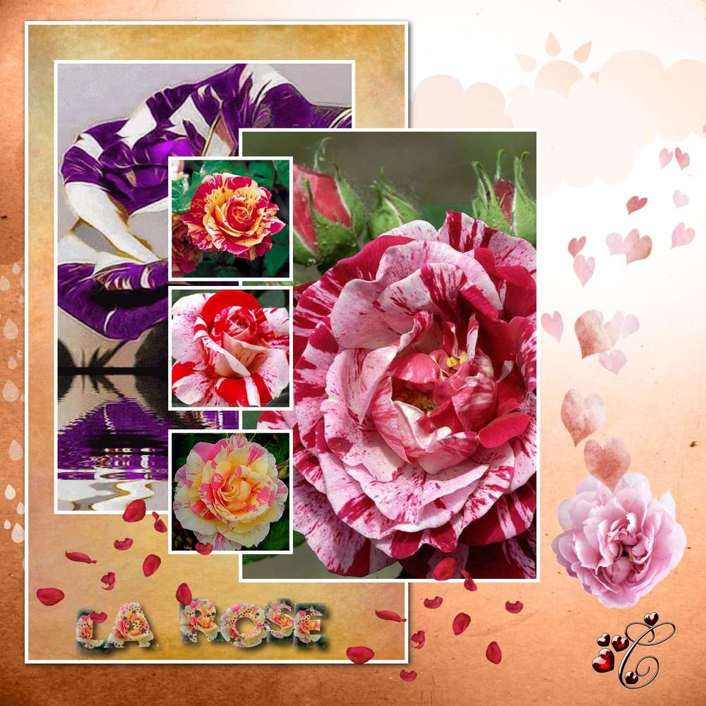 dict__e__d__fi__moyson