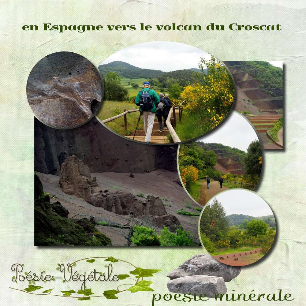 dict__e_de_mai-Mamirose