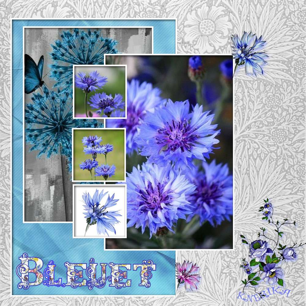 dict__e_des_vacances_bleuets