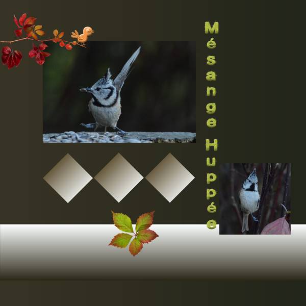 dict__e_m__sange_hupp__e