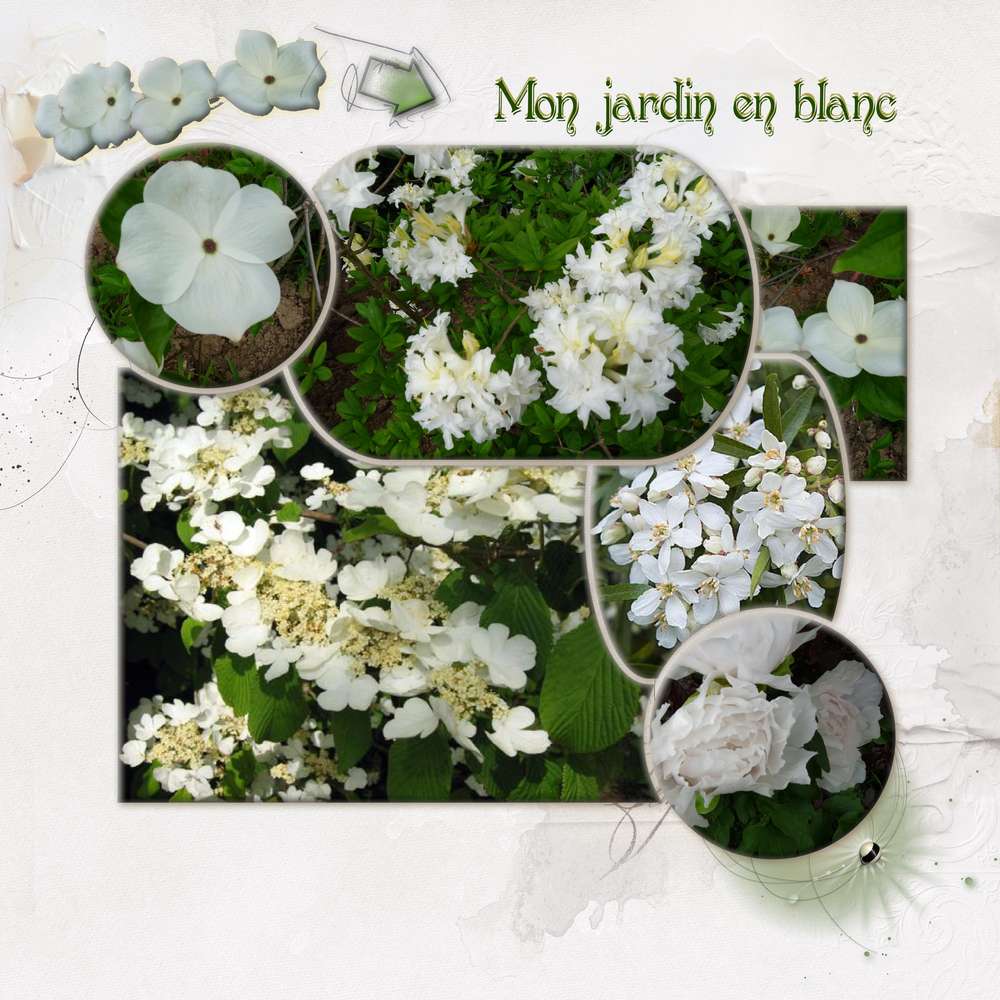 Dict__e_Mamyrose_mai