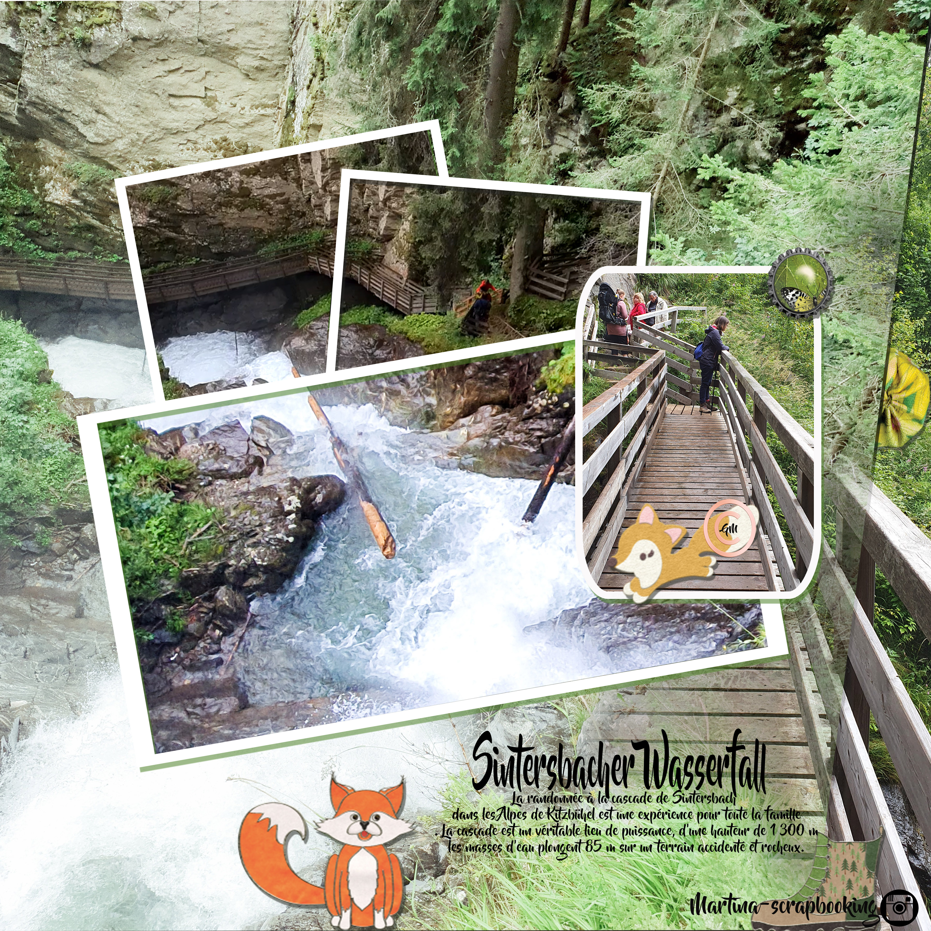 dicté mari rose.jpg