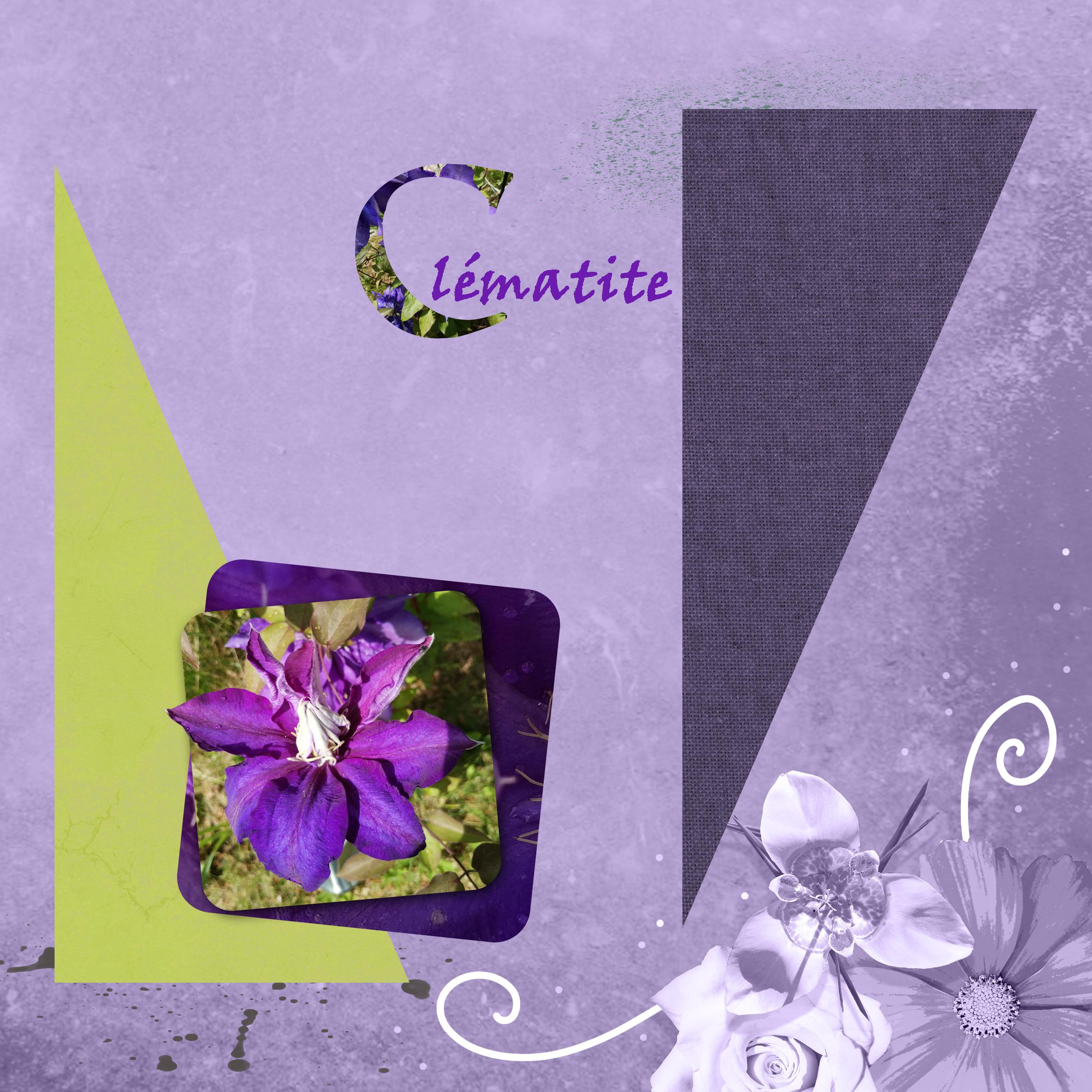 Dictée 05 2022 (page 4).jpg