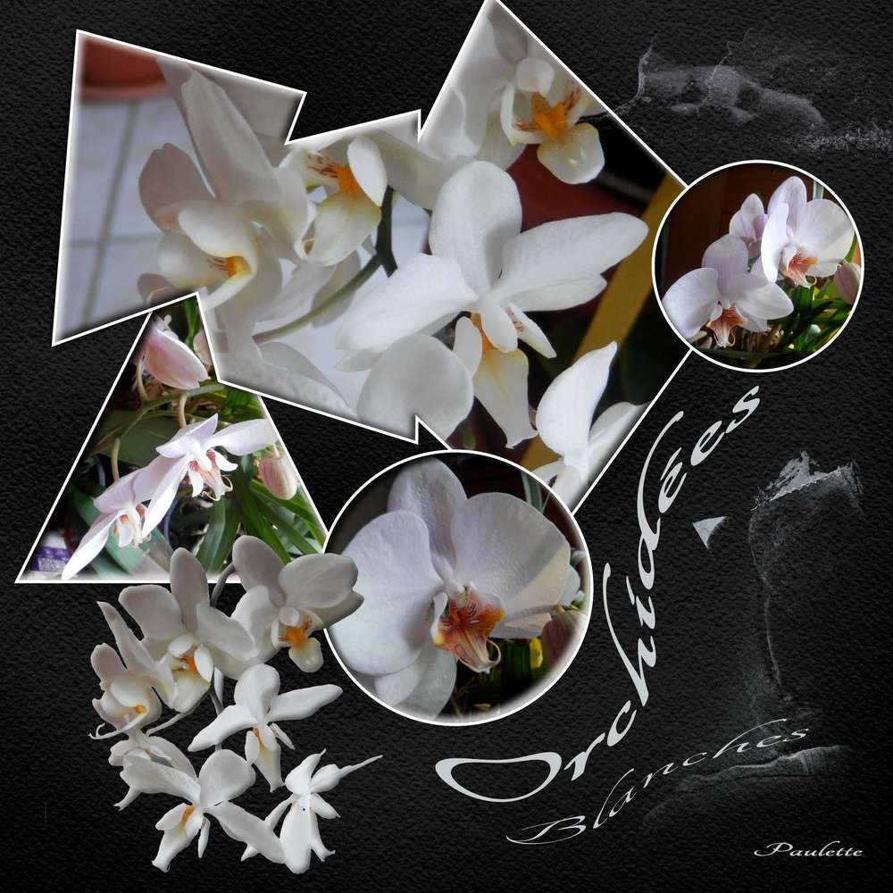 dictée 2 pique aout 2016