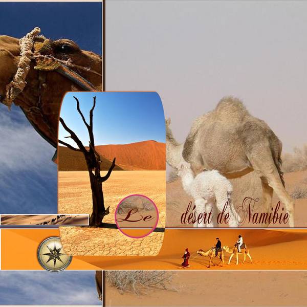 Dictée août Mamyrose