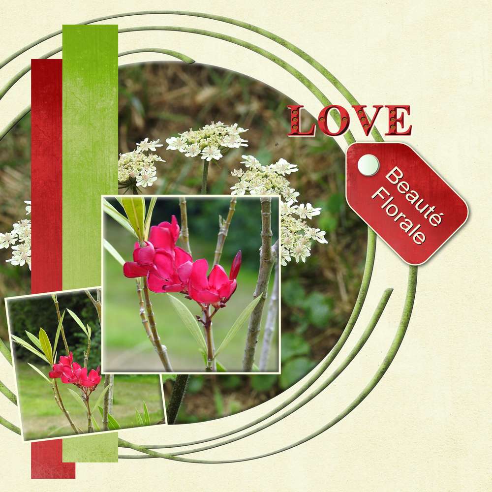 DICTEE D'AOUT 2019 PROPOSEE PAR MAMYROSE-MOYSON