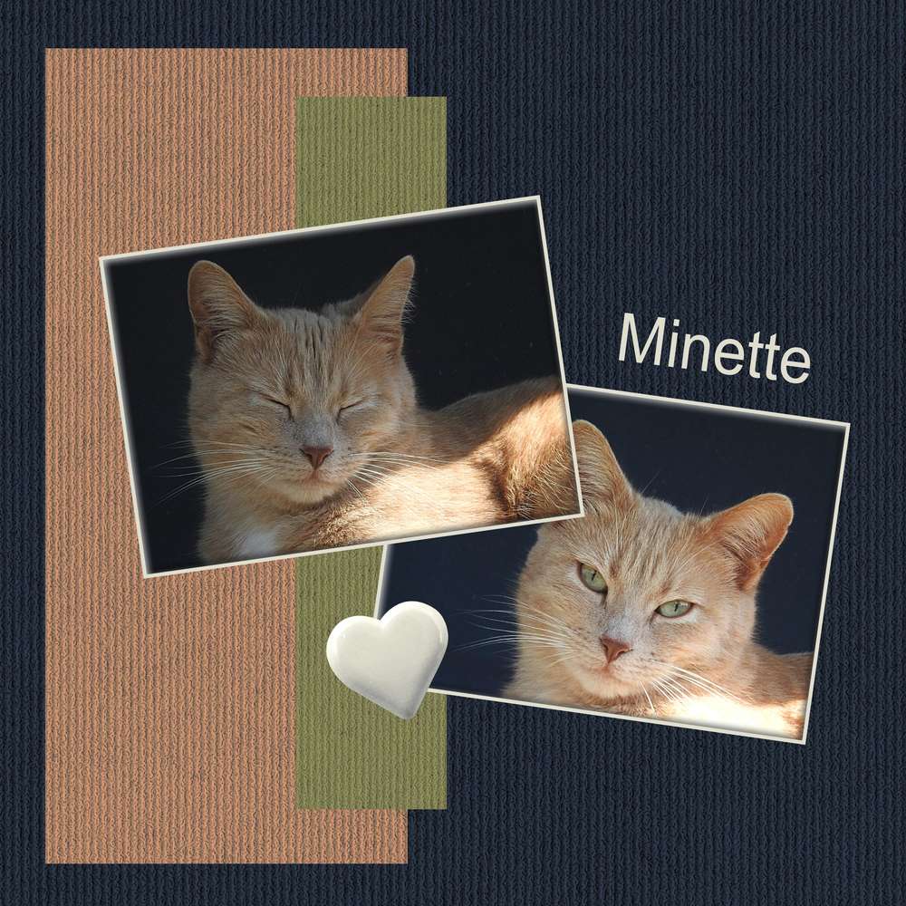 DICTEE D'AVRIL 2020 PROPOSEE PAR MAMYROSE - MOYSON