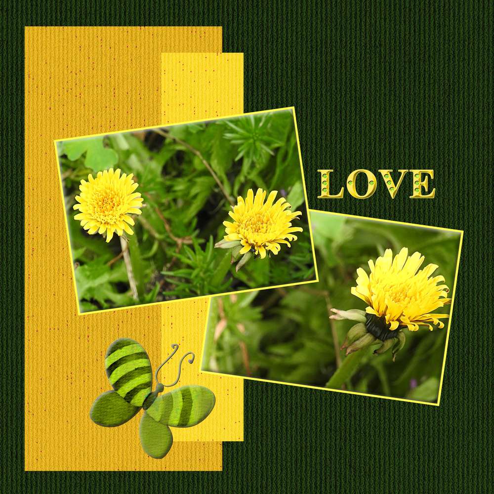 DICTEE D'AVRIL 2020 PROPOSEE PAR MAMYROSE - MOYSON