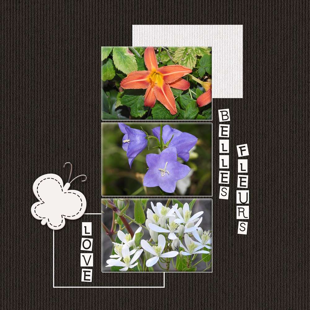 DICTEE DE JUILLET 2019 PROPOSEE PAR MAMYROSE-MOYSON