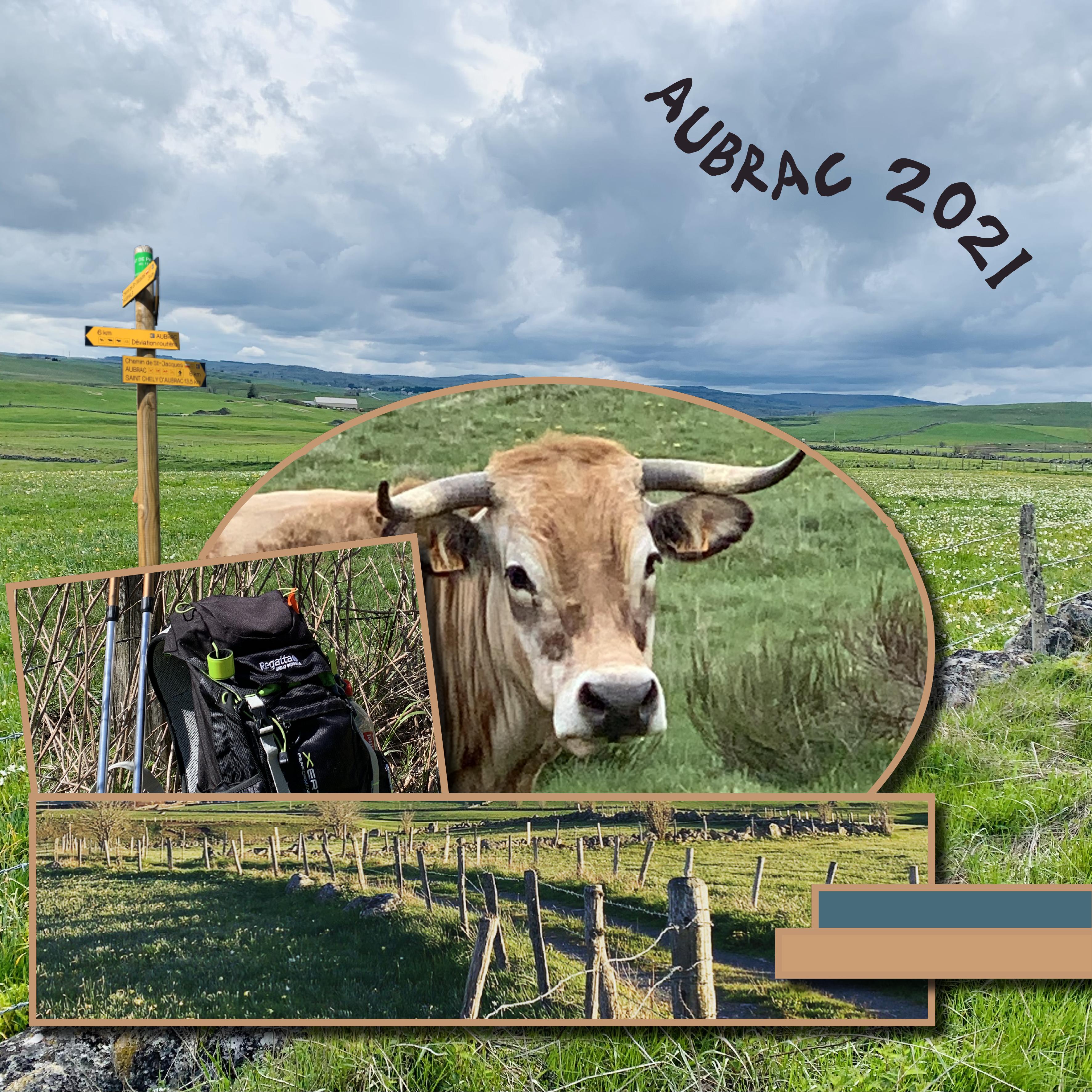 dictee de mai dicteemoyson aubrac.jpg