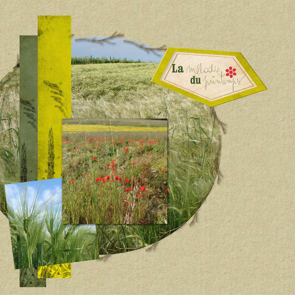 dictée de Mamyrose 2