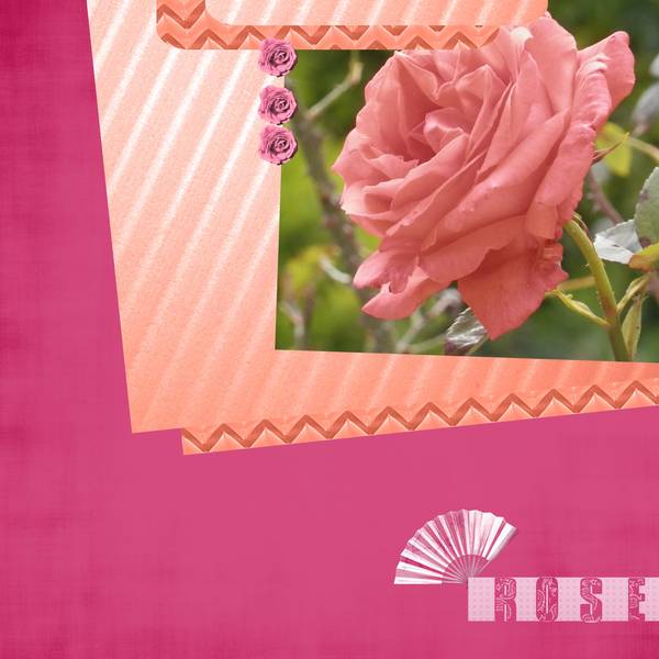 Dictée de Moyson de juillet