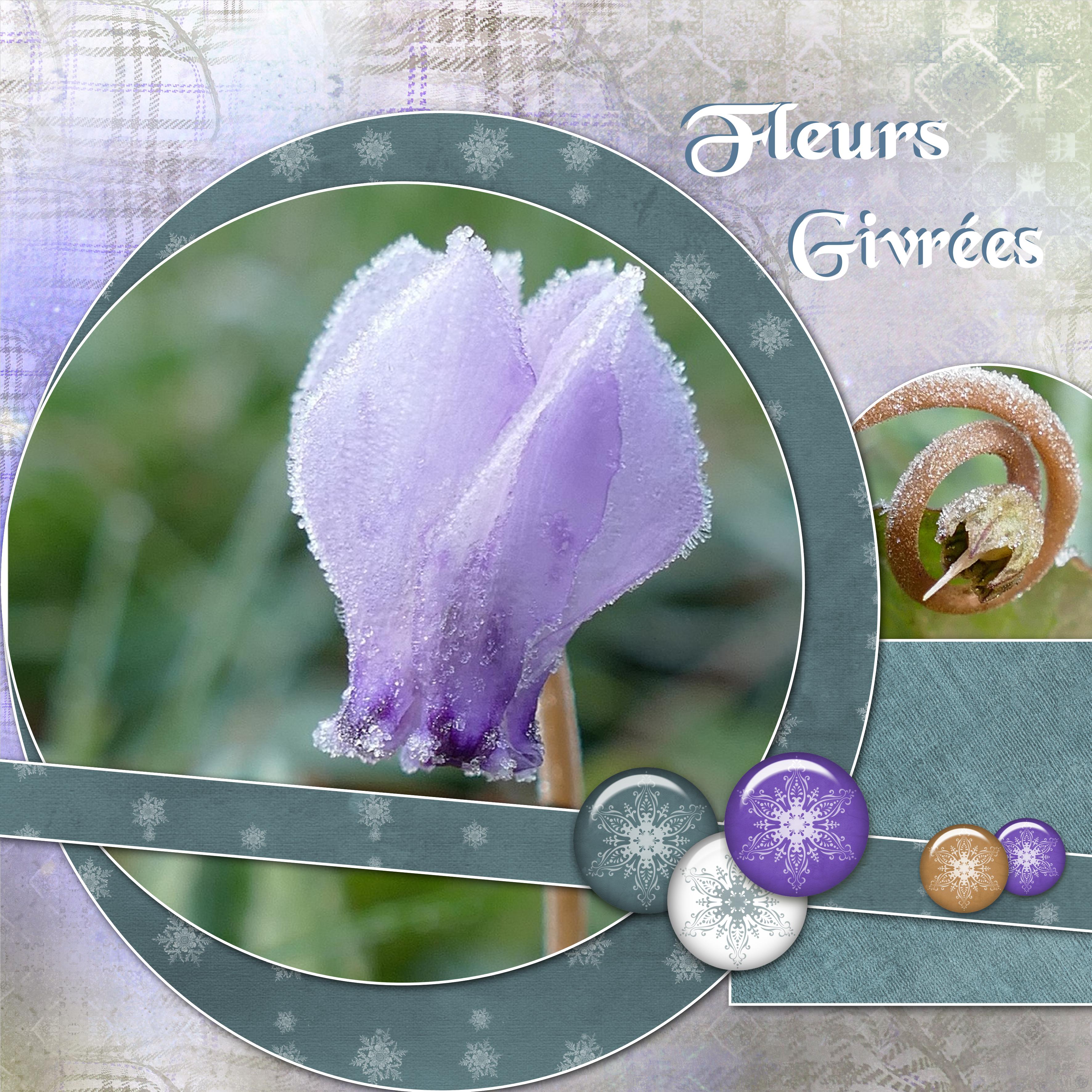 Dictée de page de moyson decembre 2020   2.jpg