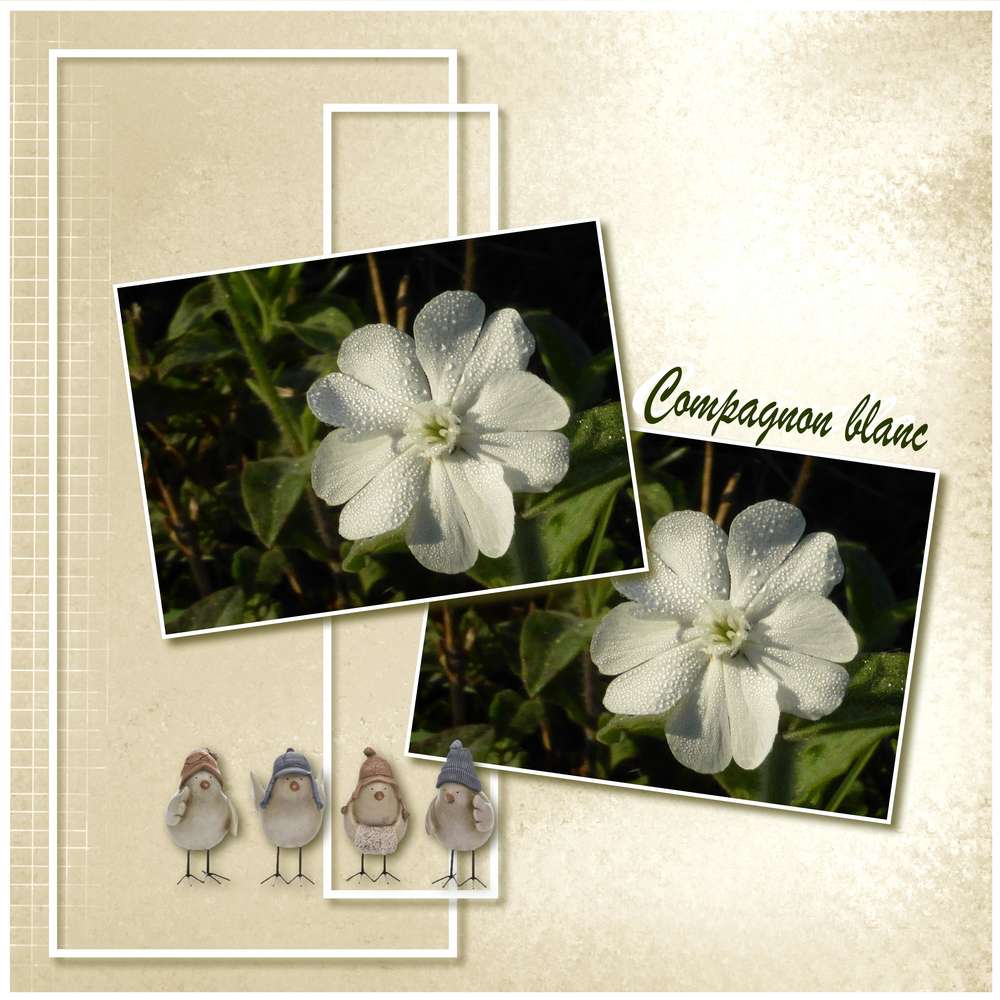 Dictée de page Moyson 2