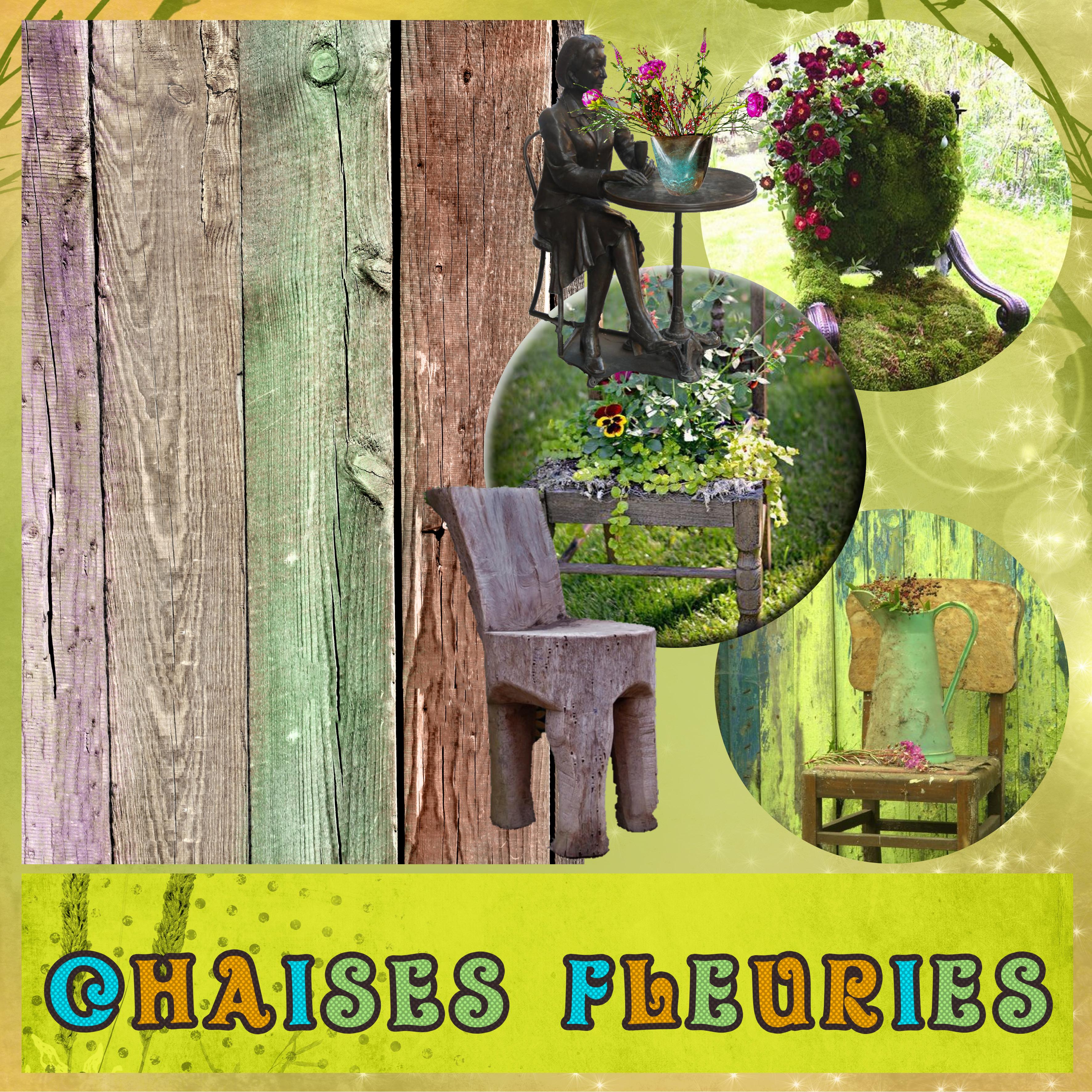 dictée didie chaise fleurie.jpg