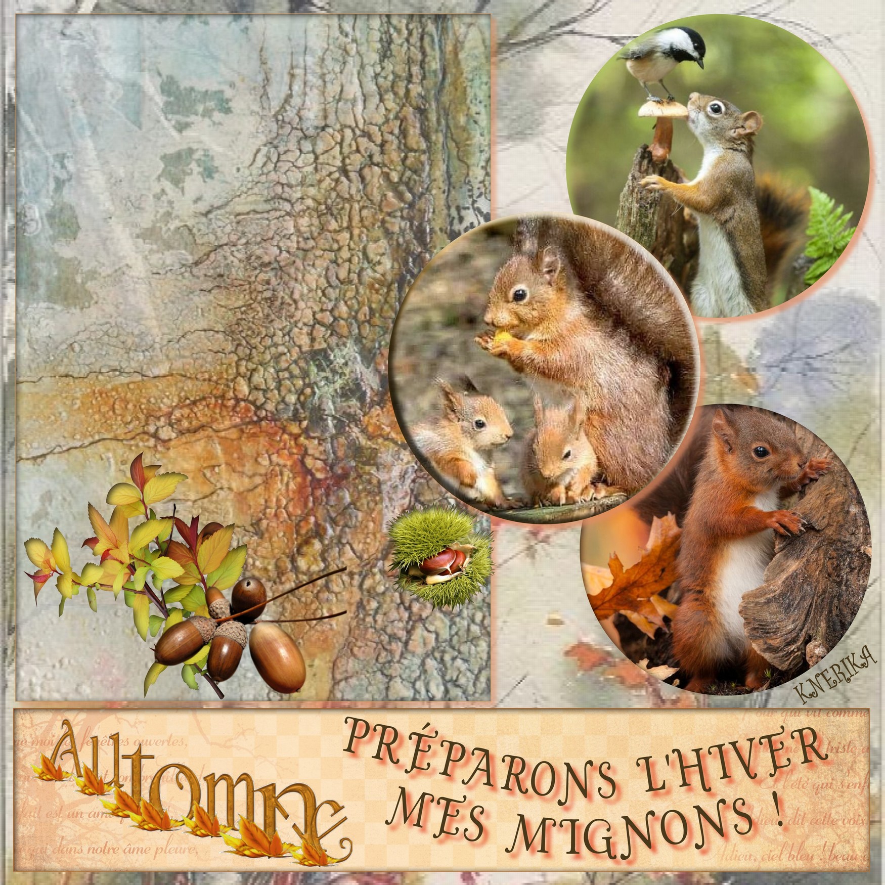 Dictée Didier Préparons l'hiver,.jpg