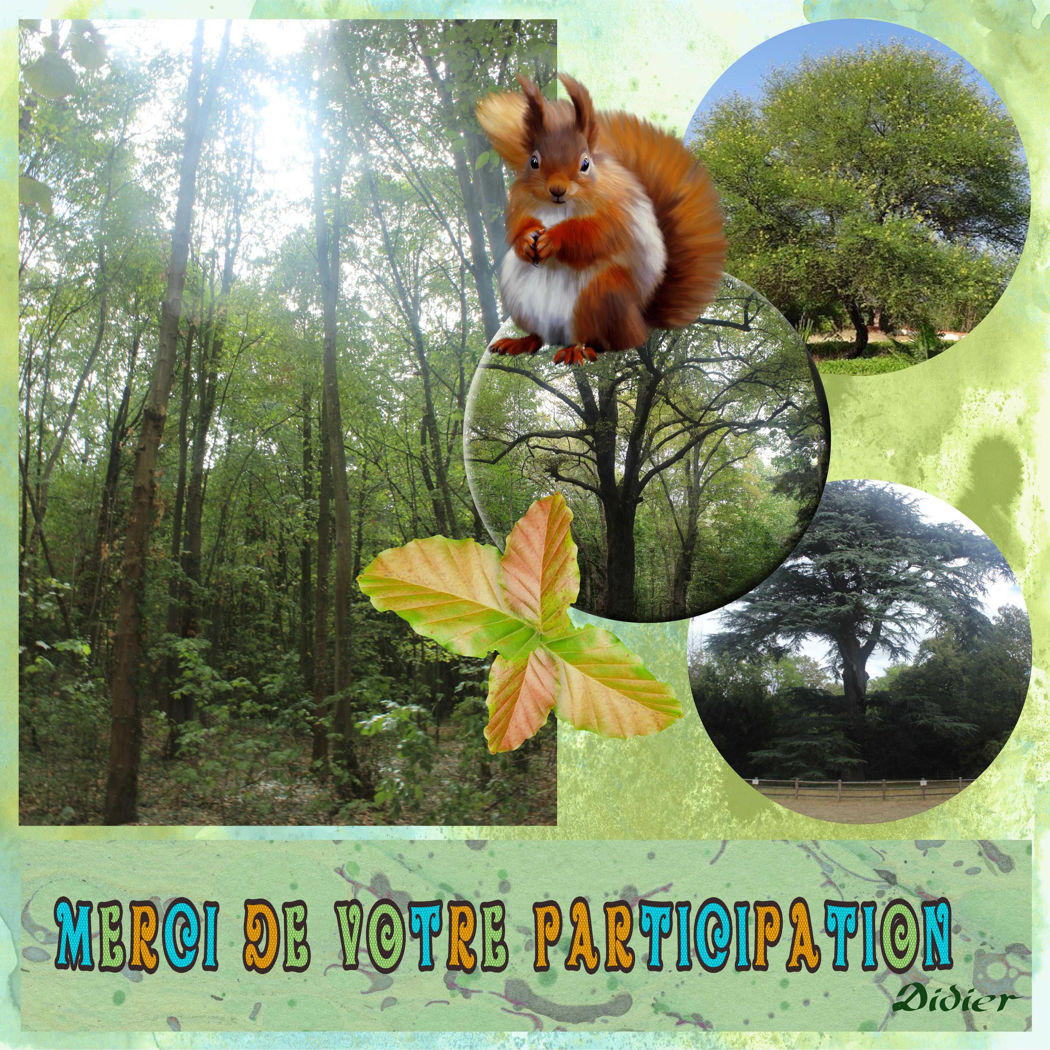 dictée didier remerciement.jpg